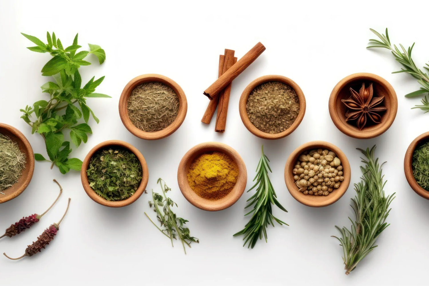 5 Powerful Ayurvedic Herbs You Should Add to Your Health Routine