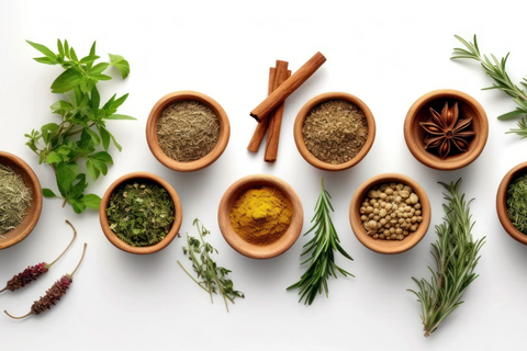 5 Powerful Ayurvedic Herbs You Should Add to Your Health Routine