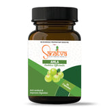 ayurvedic medicine for overall health - amla