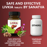 Ayurvedic Medicine For Digestion Support & Liver Detox - Livkia - Sanatva Ayurvedic